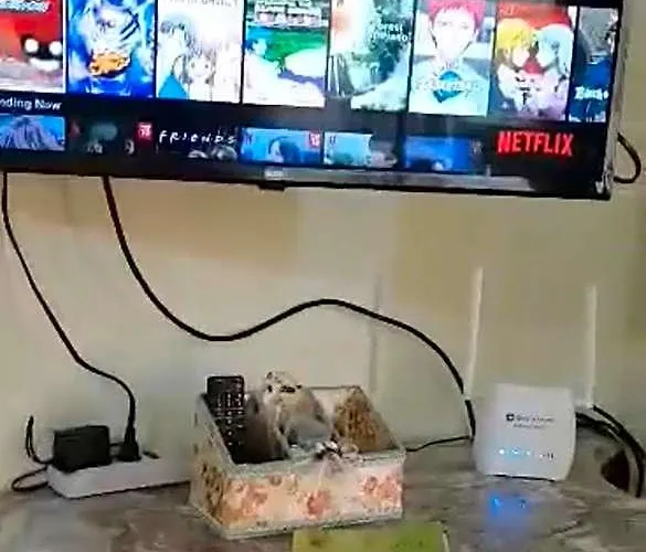 San Remo Oasis Srp View Wifi Netflix *